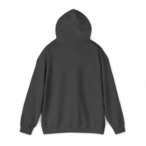Women Hoodies Women Heavy Blend™ Hooded Sweatshirt Warms hoodies